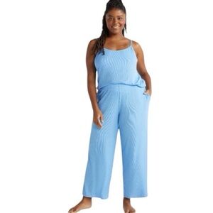 NWT Women’s 4X Flowy Blue Pants